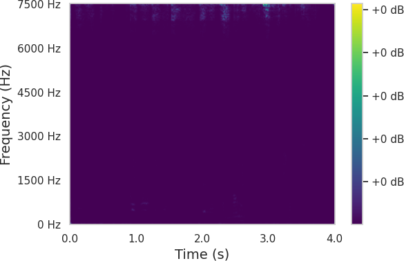 Spectrum 5